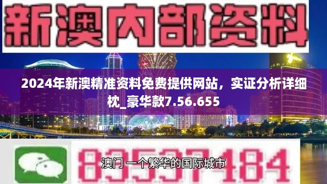 2024新澳精准正版资料,市场细分计划_ZX版53.583