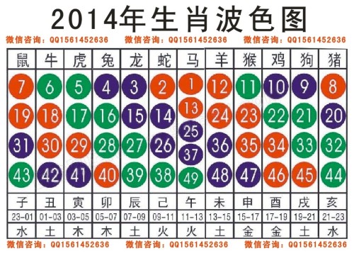 2024十二生肖49码表,调整方案执行细节_网页款82.468