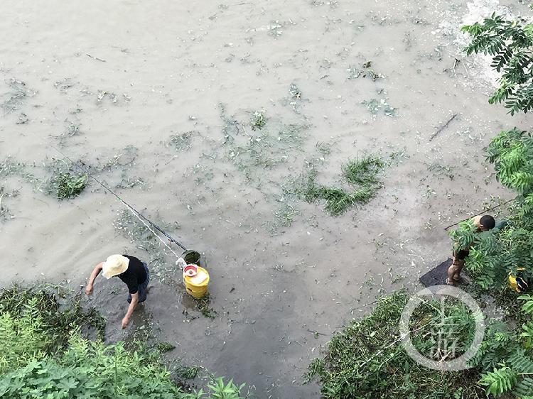 股票向导 第5页