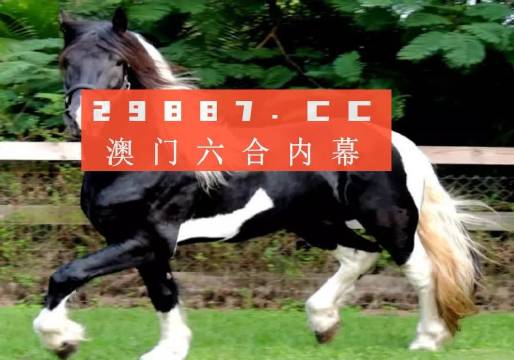 澳门香港一肖一码一中一特免费公开,执行力解析落实_社交品49.284