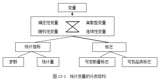 围绕类器官制造和大数据AI分析打造相关创新器... 第646页