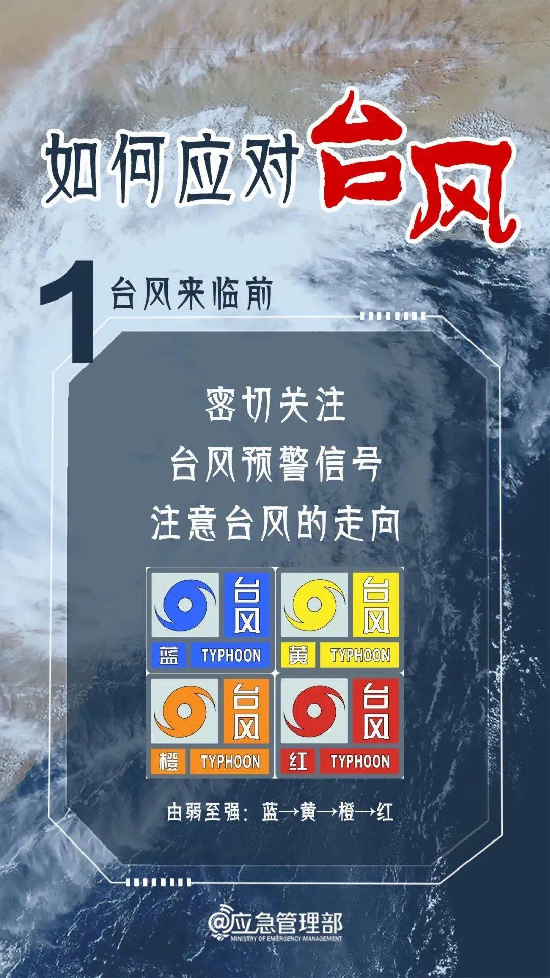 台风最新报告，动态监测、应对策略及影响分析