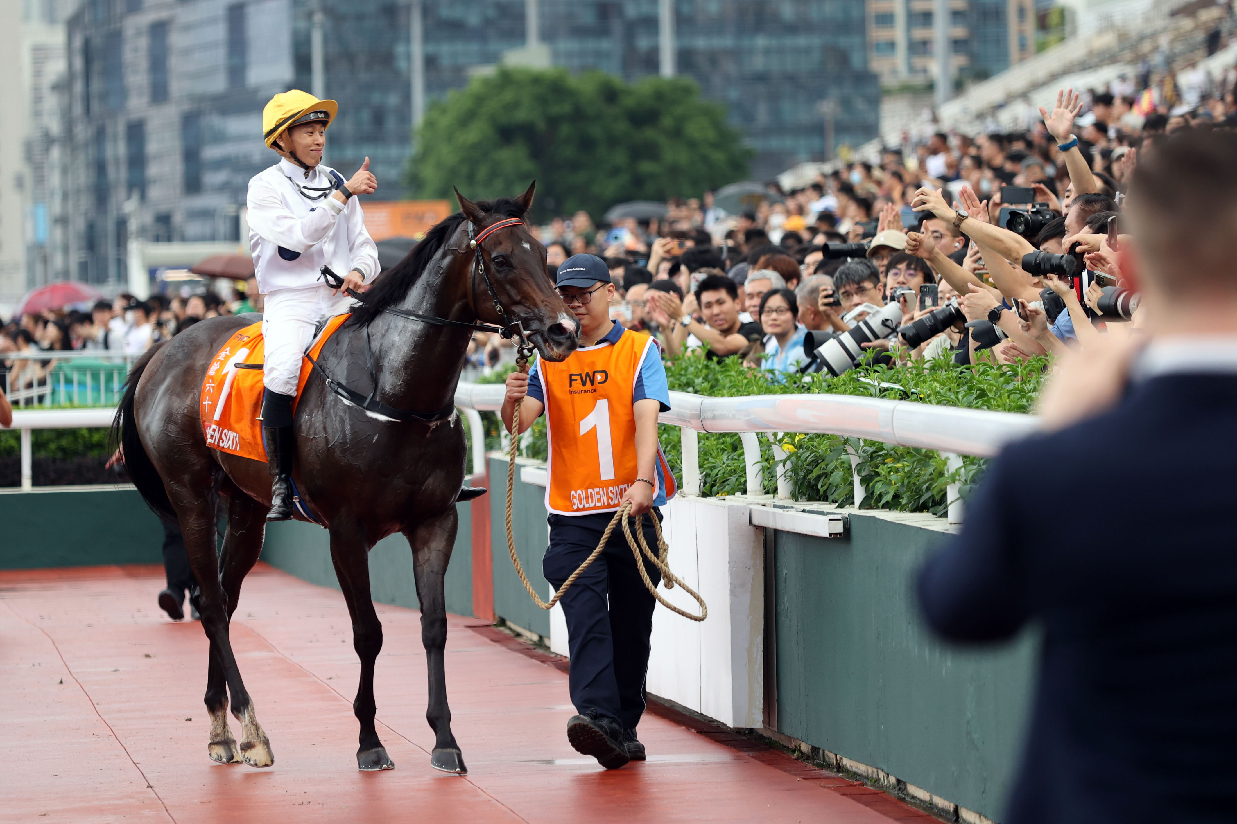 2024香港赛马全年免费资料,高速解析响应方案_精英版201.124