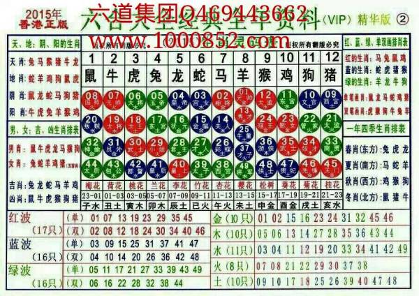 2024十二生肖49码表,最新正品解答落实_VIP49.953