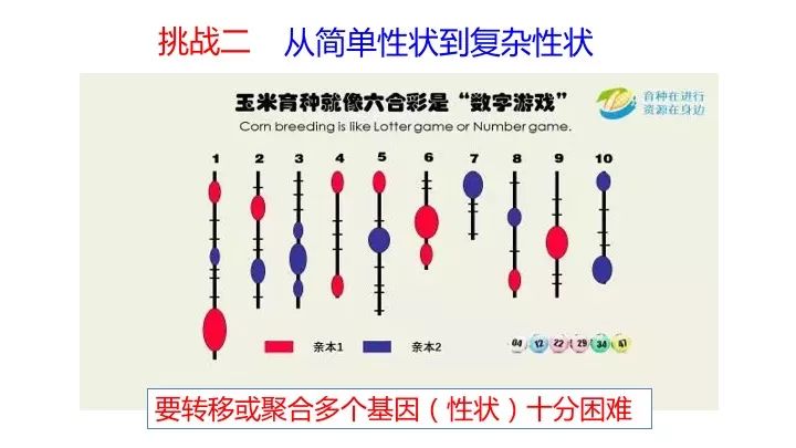 澳门一码一肖一特一中是合法的吗,创造力推广策略_挑战款98.687