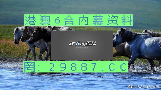 2024澳门买马最准网站,准确资料解释落实_Console71.552