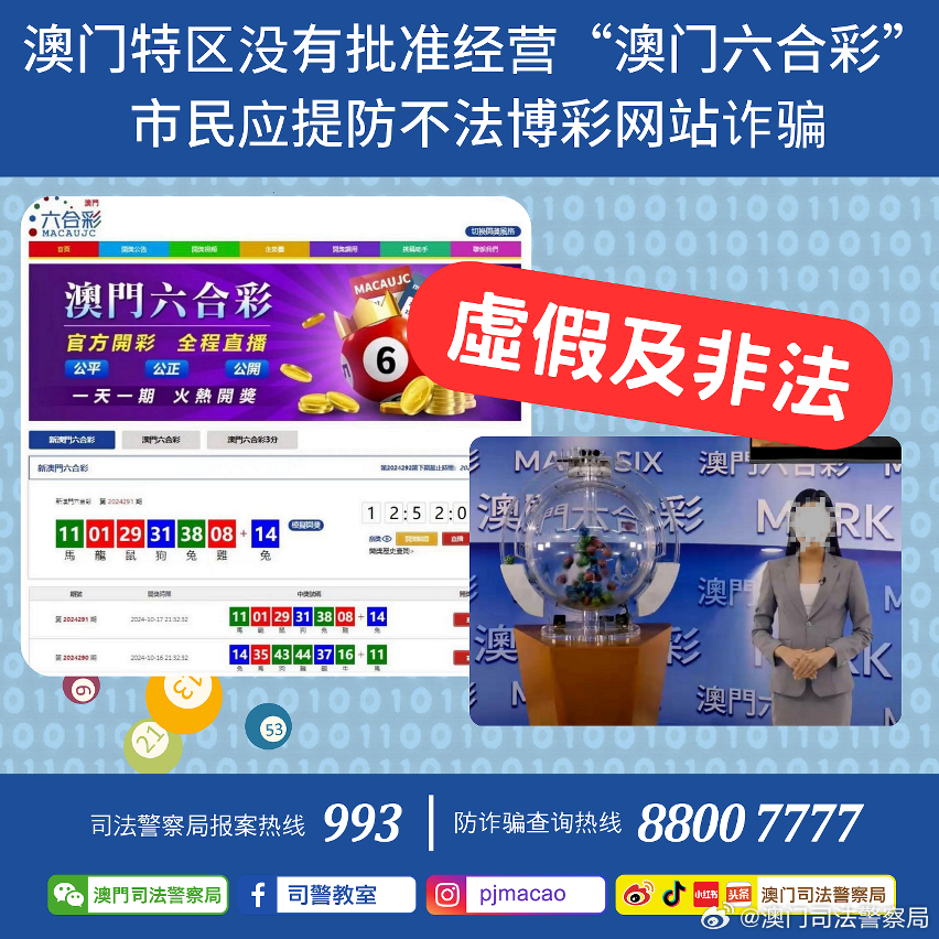 澳门正版精准免费大全,高效解读说明_yShop58.79