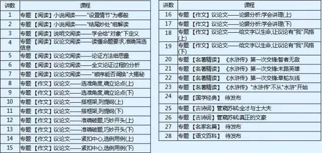 澳门一码一肖一待一中四不像,全面理解执行计划_RX版39.597