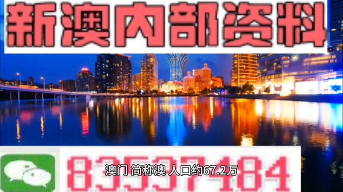 新奥内部长期精准资料,动态词语解释落实_XE版51.782