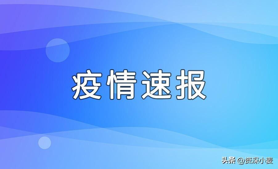 全球十月疫情最新数据报告，疫情现状与趋势分析综述