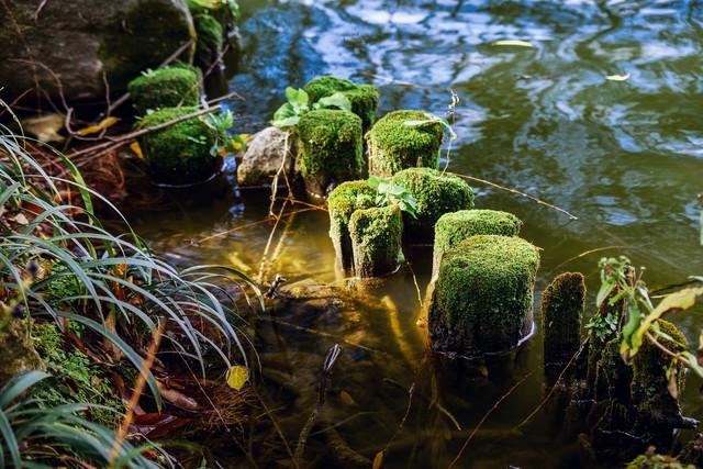 浙江高考生物概述及最新趋势分析