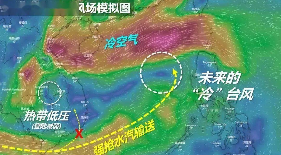 最新台风浪卡消息，全面解读与应对建议