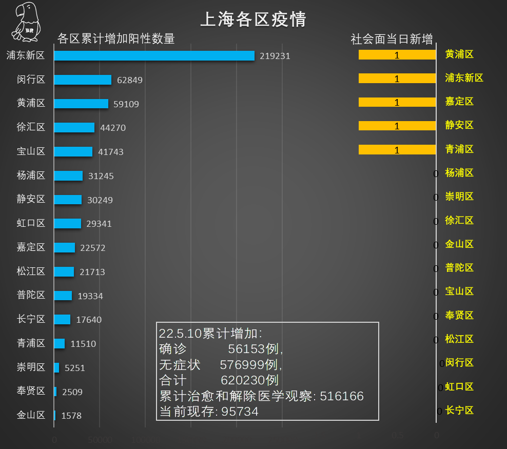 上海最新疫情动态更新，今日新增病例及应对策略