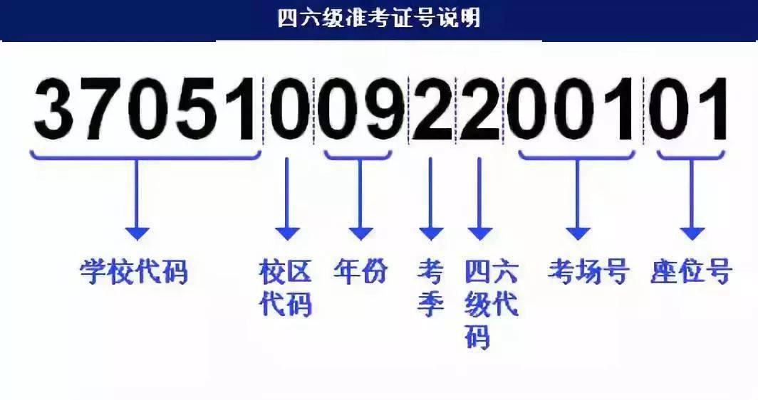 494949最快开奖结果+香港,快捷问题解决指南_Tablet10.771