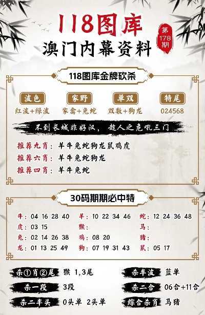 以IT+BT融合创新为特色 第33页