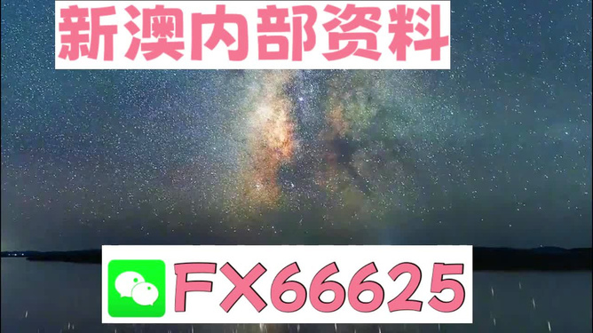 新澳天天彩免费资料大全查询,精细化分析说明_KP70.996