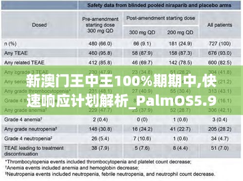 澳门王中王100%期期中,快速响应计划设计_iPhone56.295