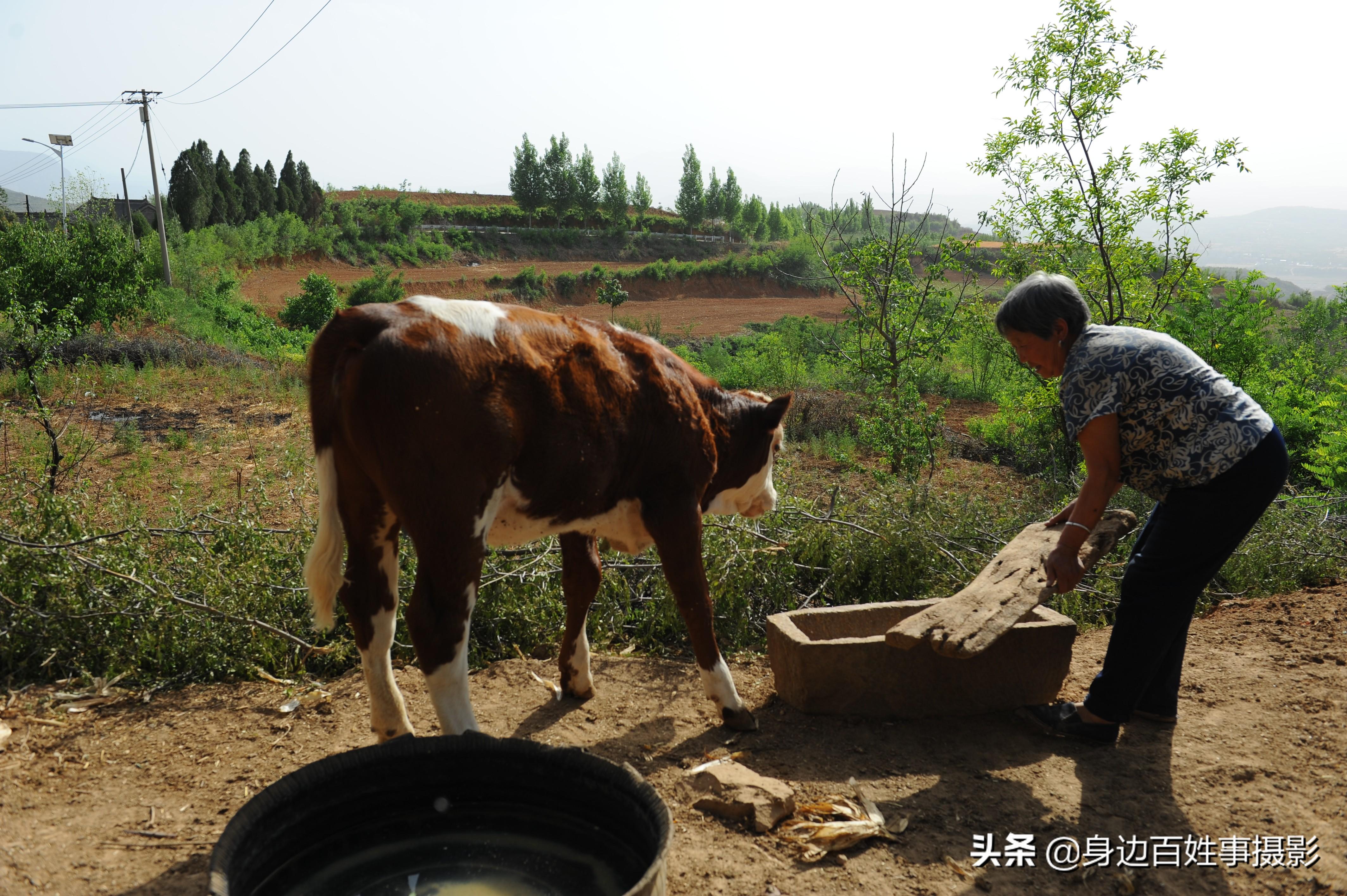 2017最新小贷口子深度解析，行业趋势与机遇探讨