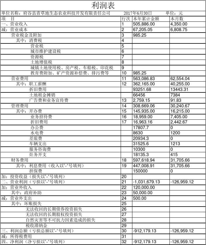 揭秘与洞悉，2015最新利润表全貌解析