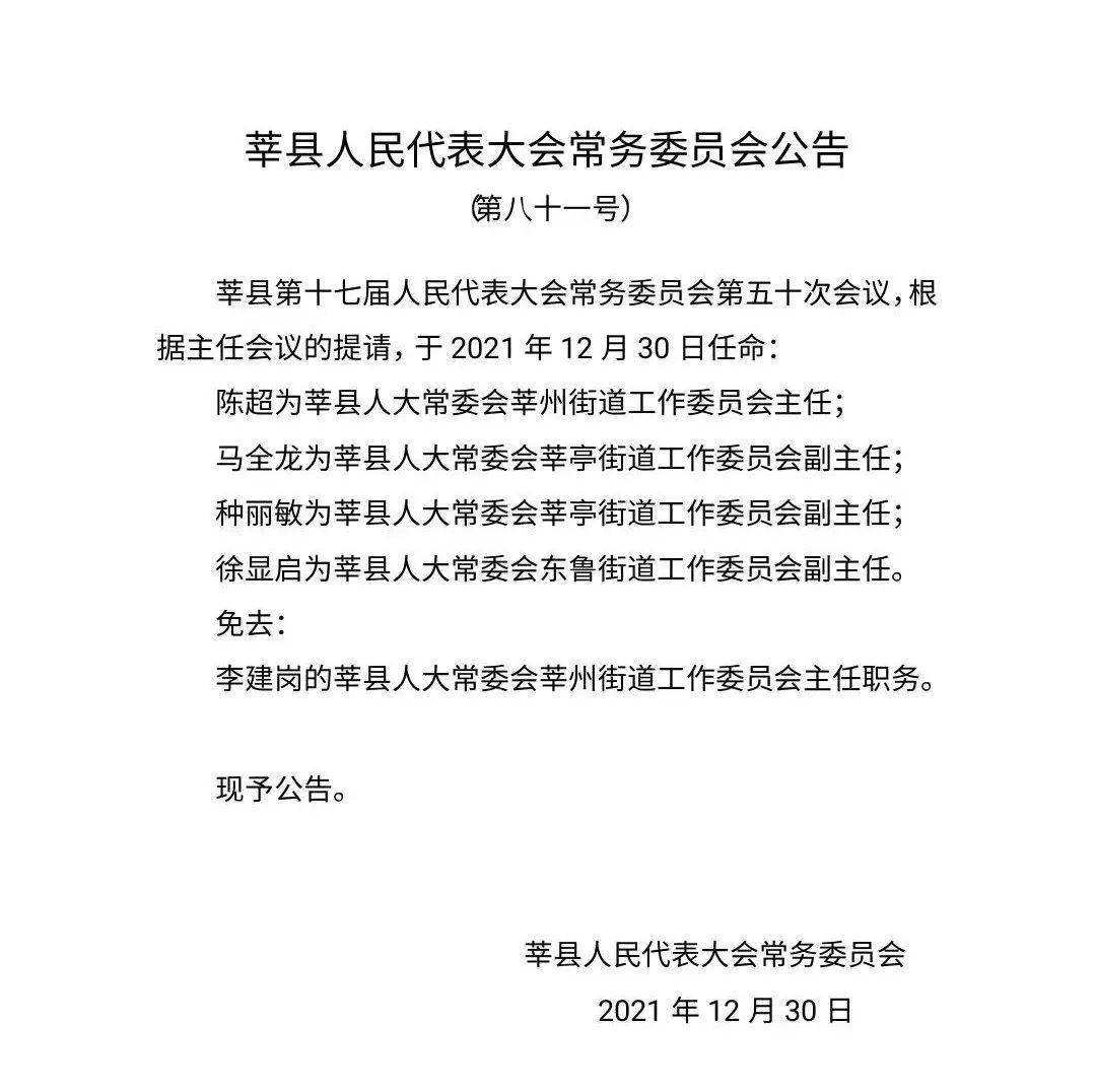 东昌区人民政府办公室人事大调整，构建新时代高效政务体系的新篇章