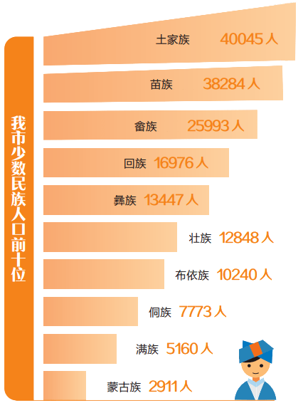 最新少数民族人口概况及其影响深度分析