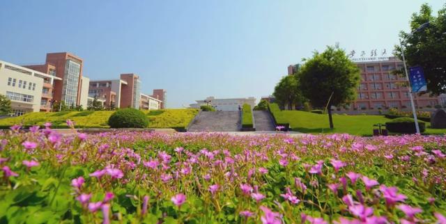 西安经开最新招聘动态及其地区影响概览